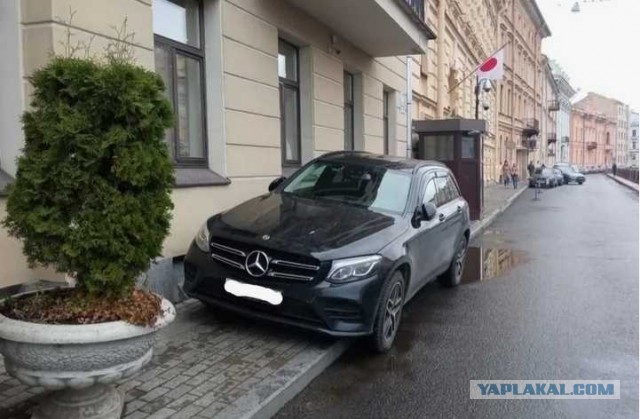 Александр Буйнов сбил пенсионерку на пешеходном переходе в Подмосковье