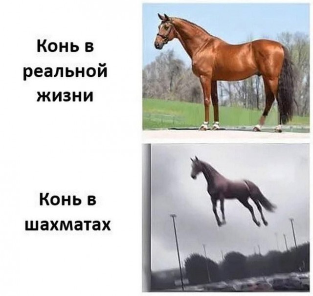 Нуштош 10.04.2025. Временное помутнение рассудка (s3e10)