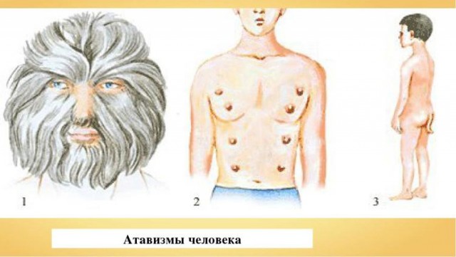 Любимый учебник, а вам какой запомнился?⁠⁠