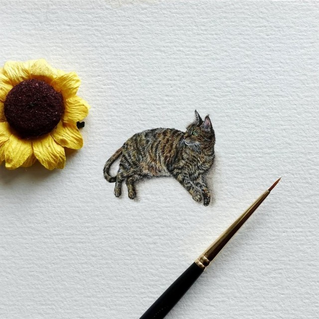 Арты для котовторника