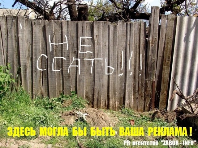 Так себе картинки 04.06.25