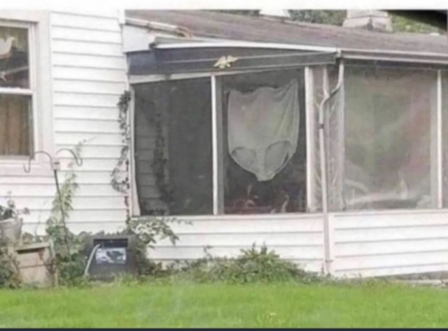 Восемь сотрудников авиакомпании понадобилось, чтобы помочь американской бодипозитив-активистке подняться на борт самолёта