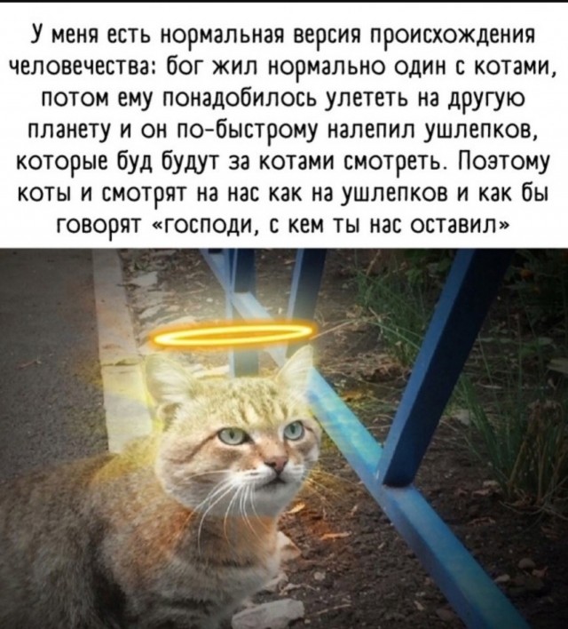 Картинки для деградации-5 (разной степени свежести)
