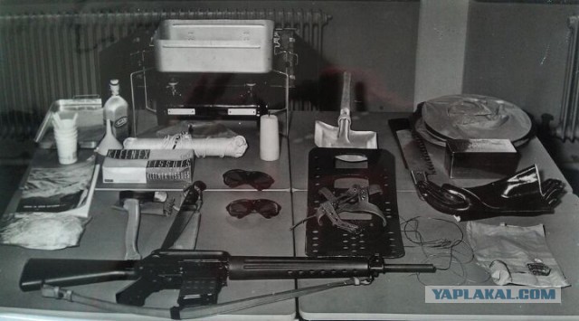 Фотографии о прошлом, открывающие историю с новой стороны 23.07.25