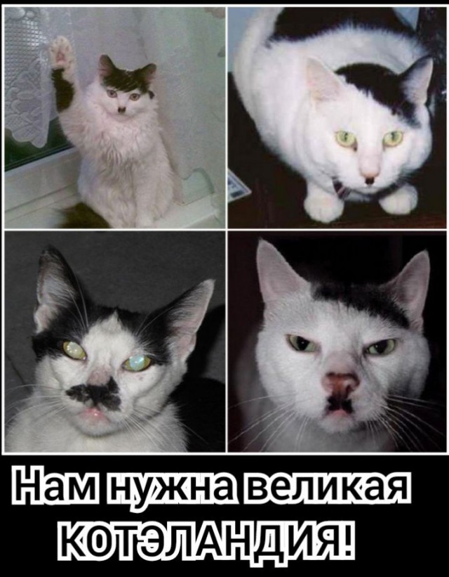 У Василия ДР