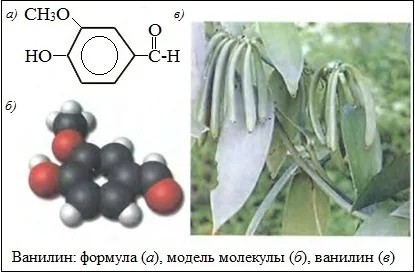 Китайцы придумали, чем бороться с ожирением