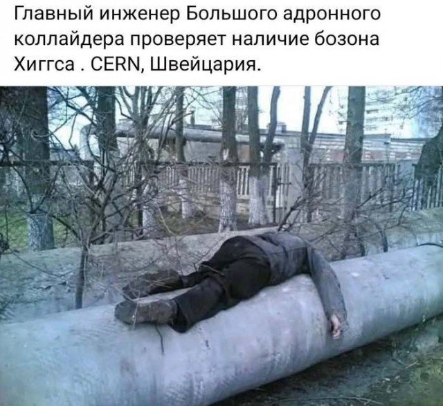 Картинки для деградации 81 (разной степени свежести)