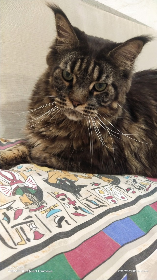 Тихон