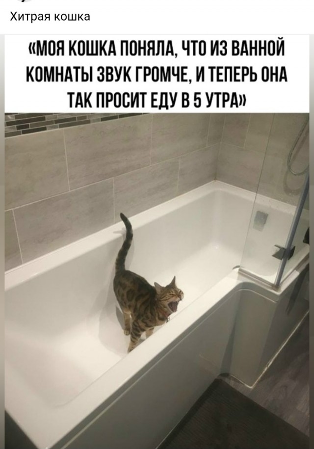 Так себе картинки 05.12.25