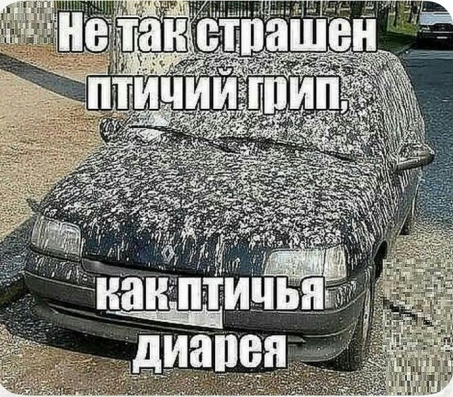 Субботние картинки
