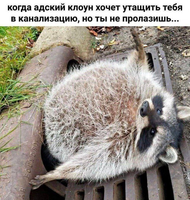 Ты чего избу не строишь?