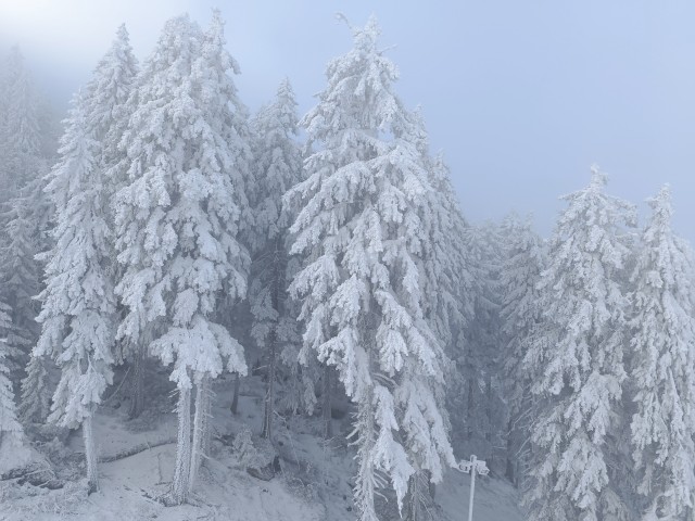 Зимушка зима ...