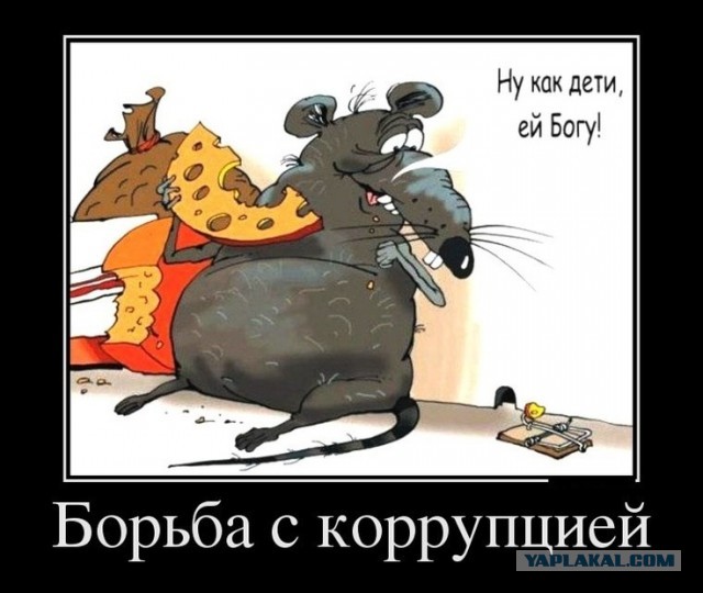 Главой Фонда развития ИНТЦ «Долина Менделеева» назначена Ксения Шойгу