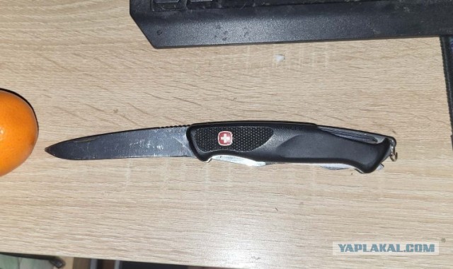 Складной нож из стали М-390, до 23000 р. Что посоветуете?