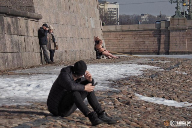 Подсолнухи Петропавловки