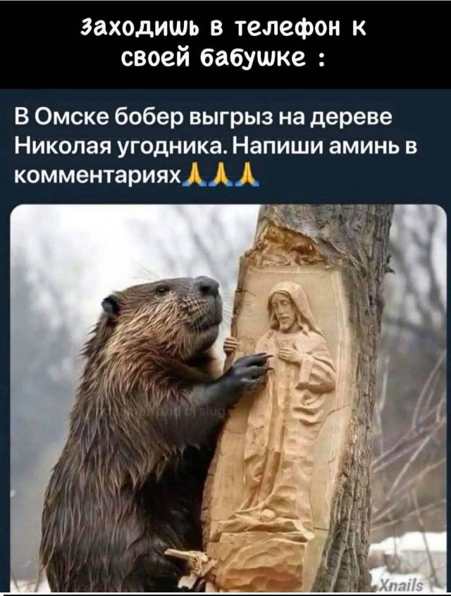 Воскресные картинки