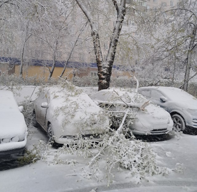 Утро в Москве