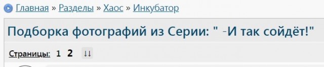Подборка фотографий из серии: "И так сойдёт!"