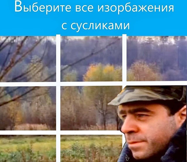 Картинки для деградации 219 (разной степени свежести)