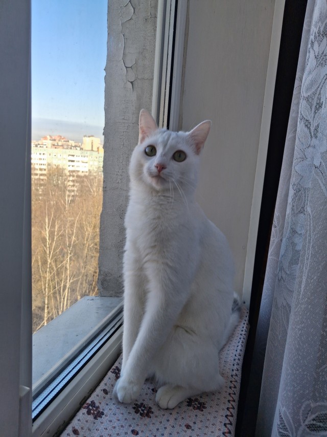 Я стал рабом, в очередной раз