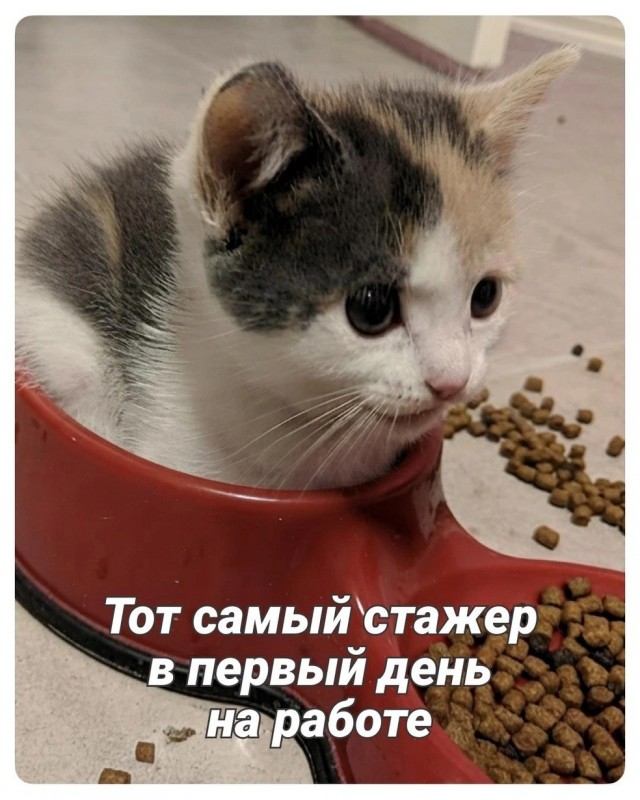 Так себе картинки 29.07.26