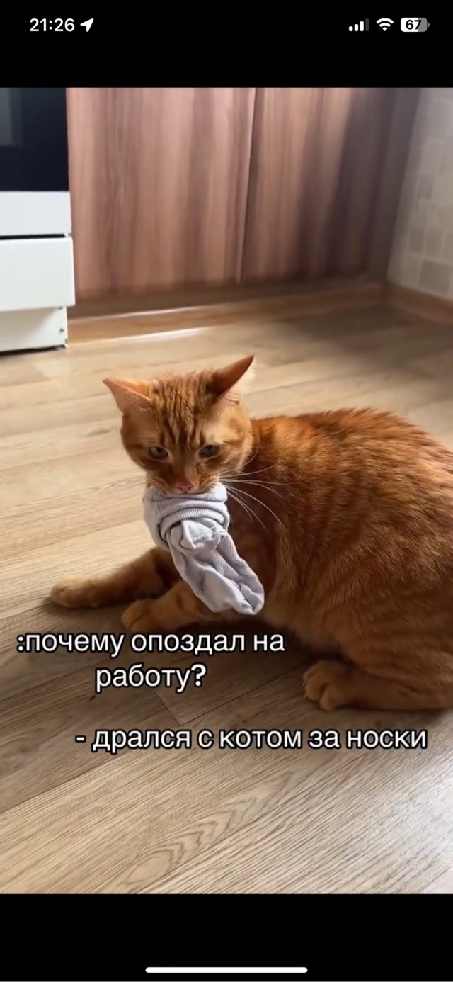 Пишите объяснительную почему опоздали