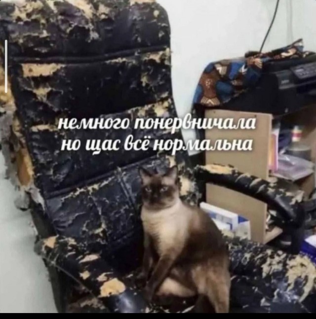 Деградинки