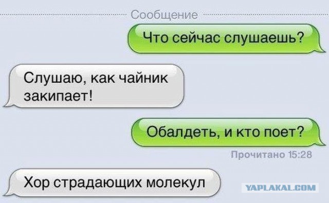 Смешные комментарии из социальных сетей