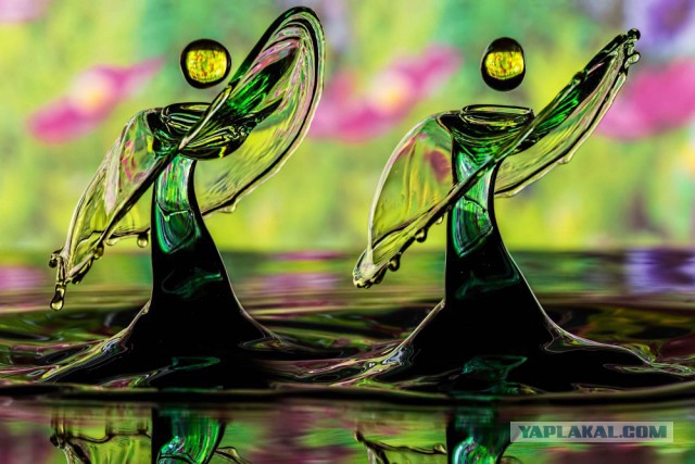 28 самых удачных кадров февраля