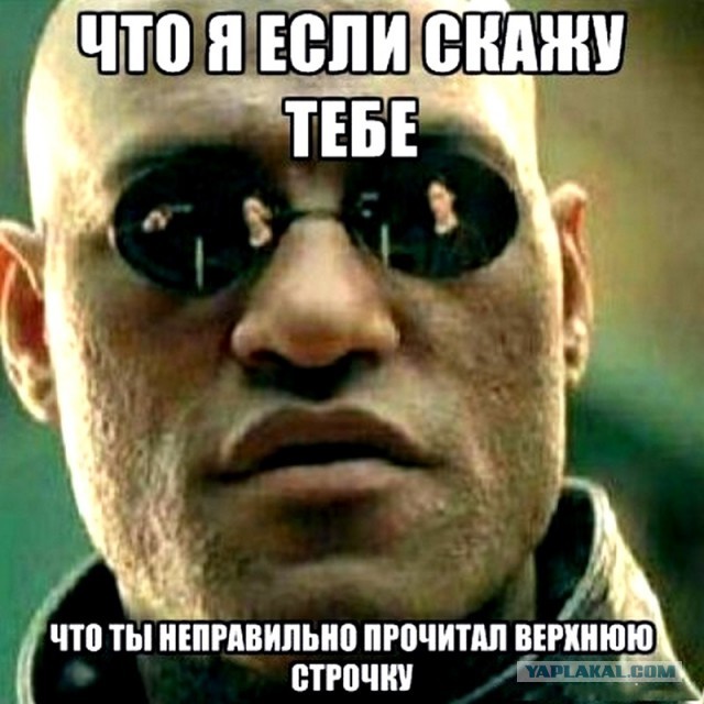 Теоретические основы троллинга