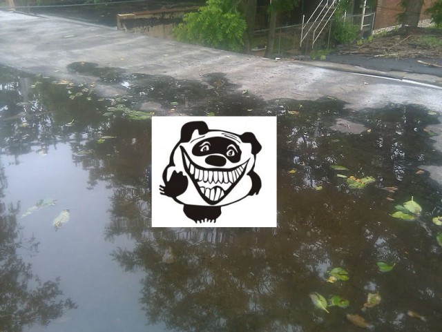 Зайку бросила хозяйка