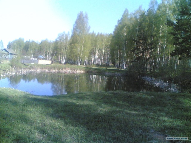 Наше все за МКАДом