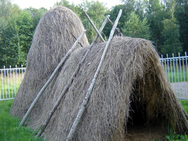 Вся мокрая, вышла из душа... (18+)