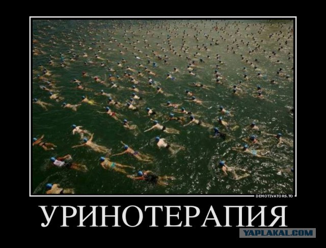 Веселые картинки