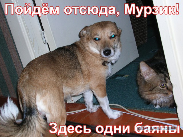Мемы вспоминаем и добавляем....