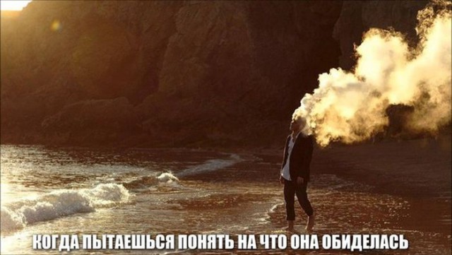 Подборка прикольных фото на среду