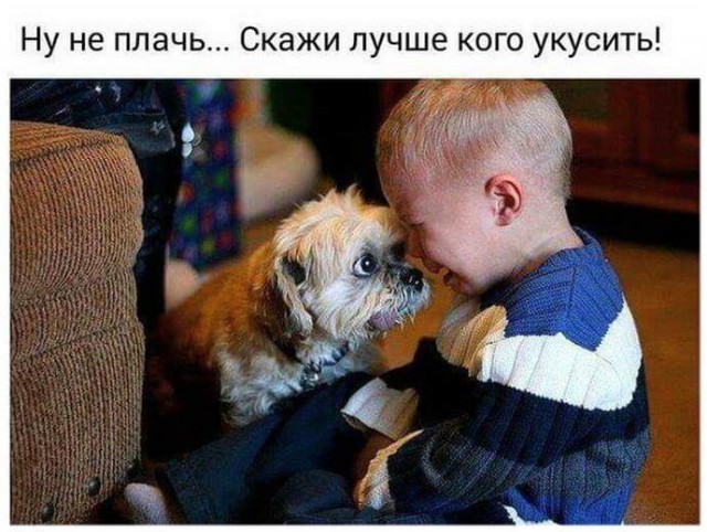 Занимательные и смешные фотографии