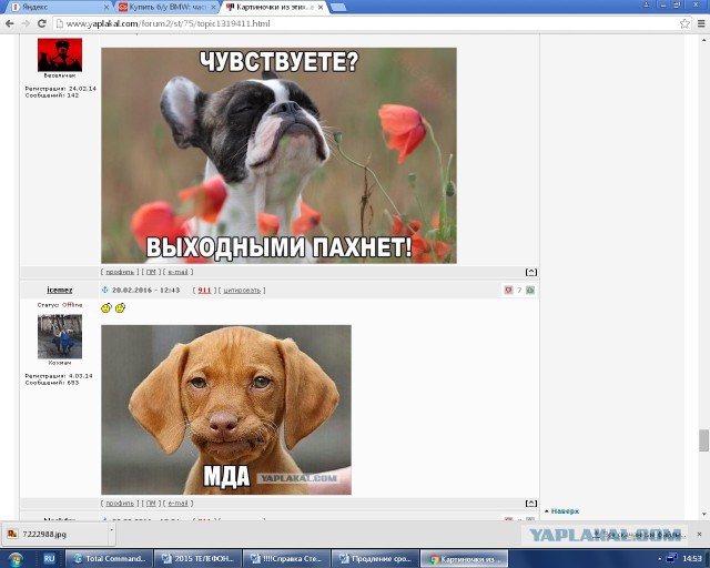 Картиночки из этих...ваших.....