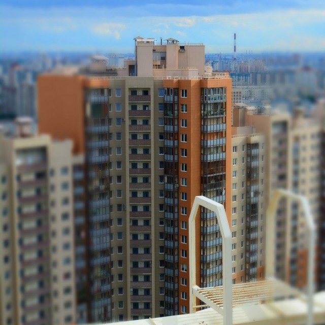 Питерское....
