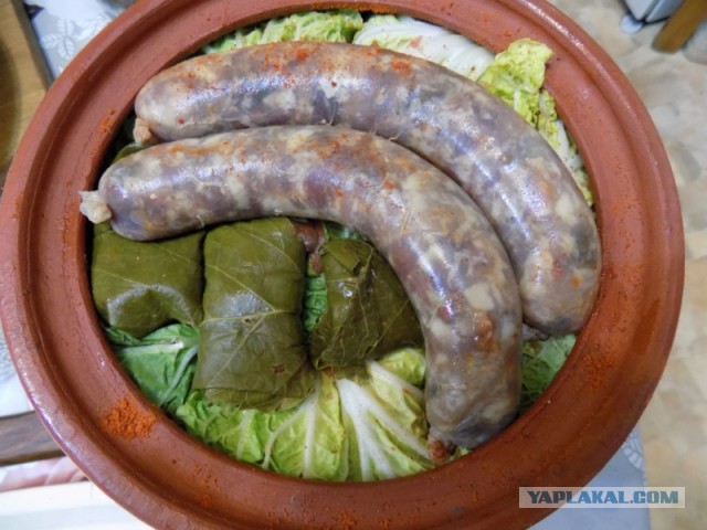 Долма летняя. Эчмиадзинская...