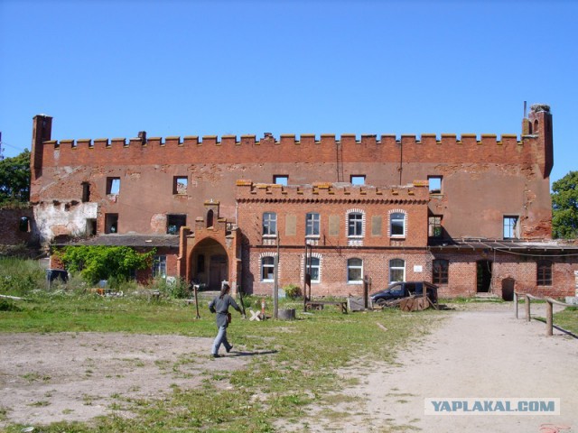Очарованная Калининградом