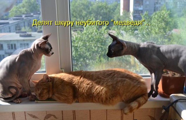 Раздел Украины. Мнение из Италии
