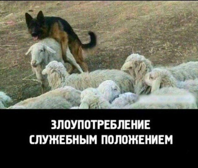 Просто "солянка" картинок из всяких ваших интернетов.