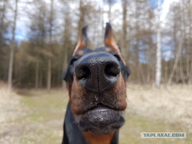 Четверг же! Хвастаемся!