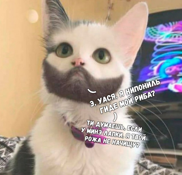 Сидите тут, развиваетесь... А деградировать кто будет?!
