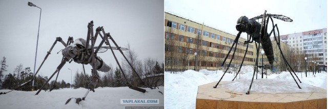 Несколько фоток нашего города Ноябрьск
