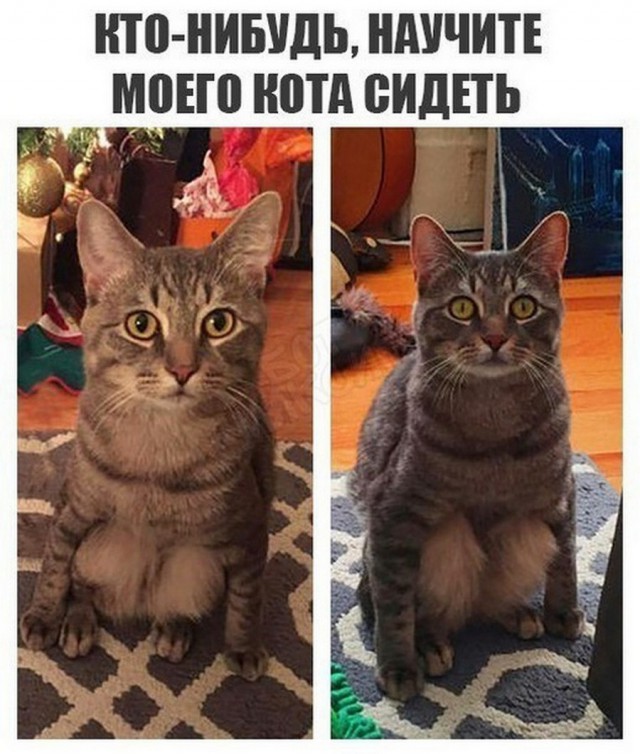 Немного странного юмора на вечер
