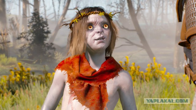 Сельдь-Иваси