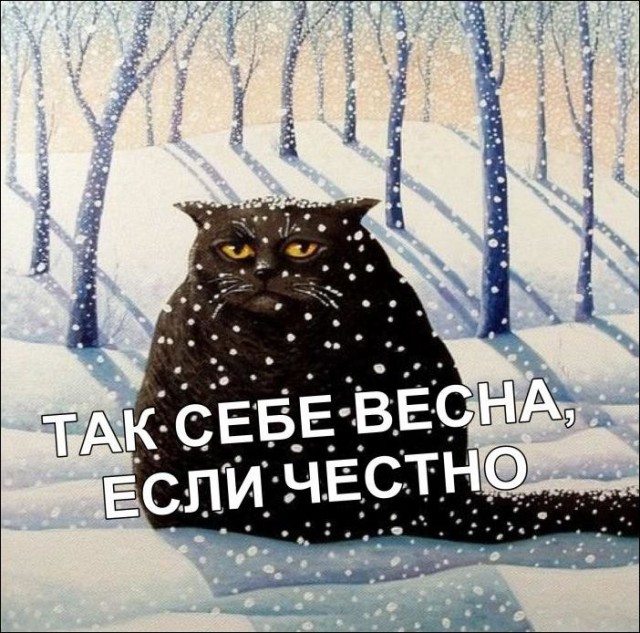 Немного картинок для настроения