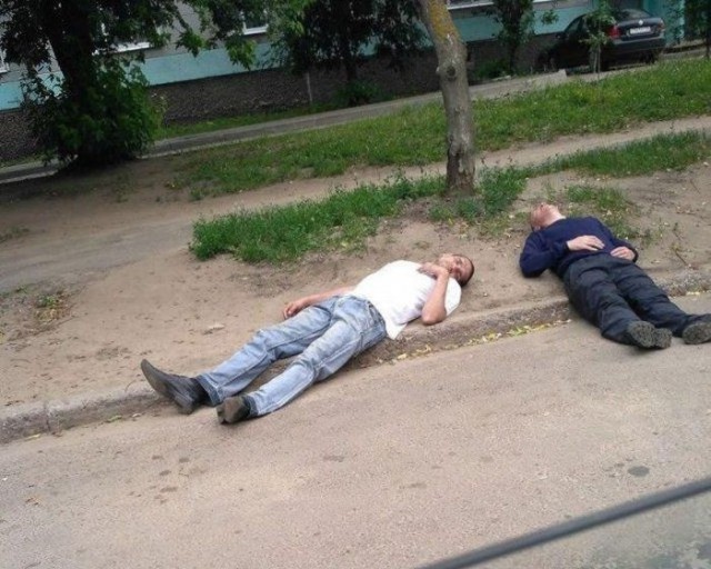 Скотсети и прочие интернеты 04.03.19